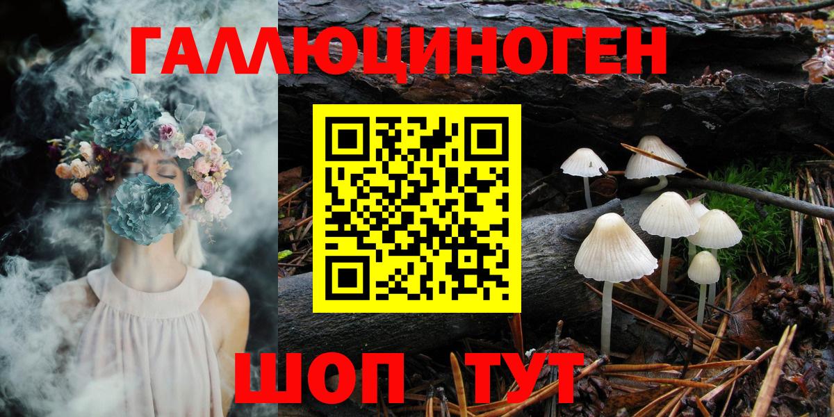 Псилоцибиновые грибы Psilocybine cubensis Туймазы